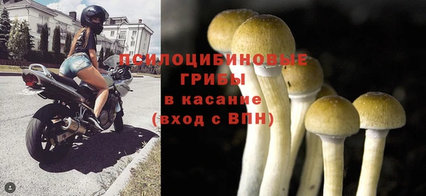 apvp Медвежьегорск