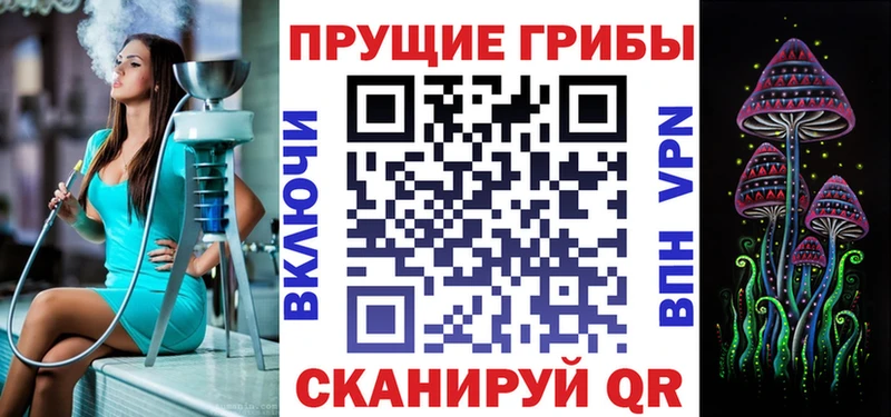 Галлюциногенные грибы прущие грибы  Ачхой-Мартан 